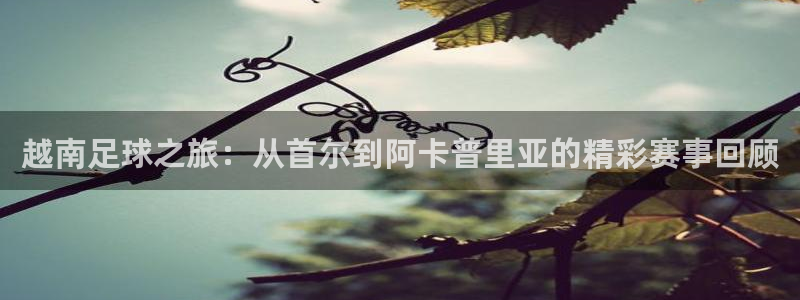 168全国统一开奖网址：越南足球之旅：从首尔到阿卡普里亚的精彩赛事回顾