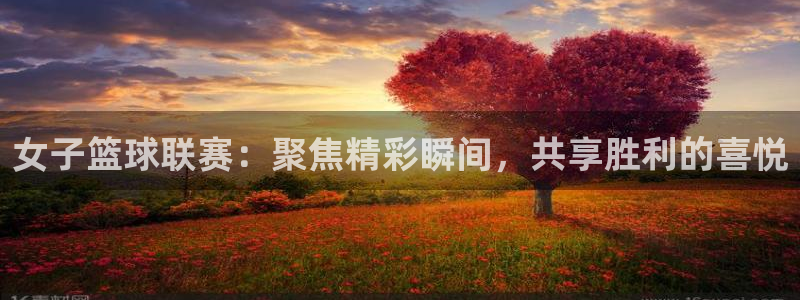 168全国开奖网开户：女子篮球联赛：聚焦精彩瞬间，共享胜利的喜悦