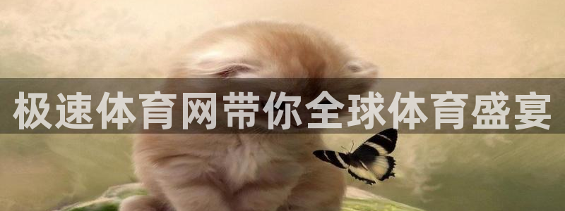 168全国统一开奖网址下载：极速体育网带你全球体育盛宴
