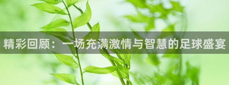 168全国开奖网代理：精彩回顾：一场充满激情与智慧的足球盛宴