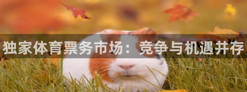 168全国开奖官网查询：独家体育票务市场：竞争与机遇并存