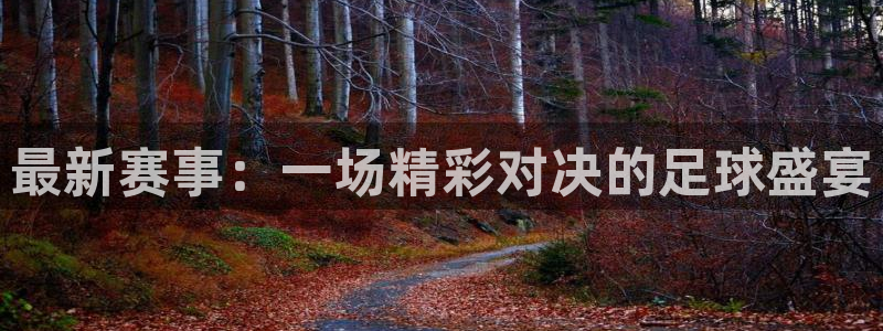 168全国统一开奖网：最新赛事：一场精彩对决的足球盛宴