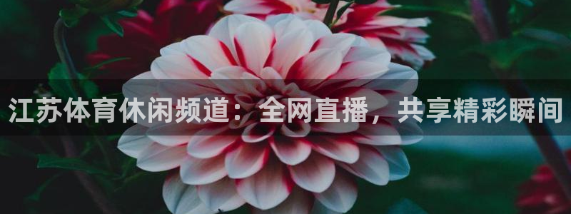 168全国开奖网下载：江苏体育休闲频道：全网直播，共享精彩瞬间