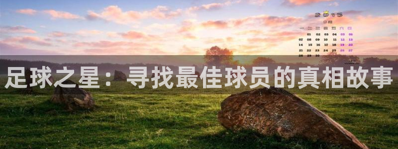 168全国开奖网代理：足球之星：寻找最佳球员的真相故事