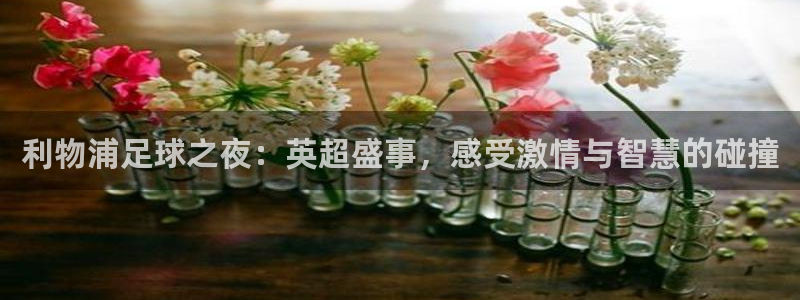 168全国开奖网代理：利物浦足球之夜：英超盛事，感受激情与智慧的碰撞