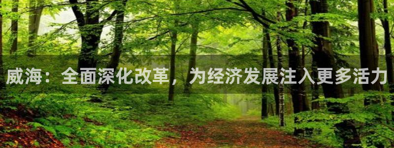 168全国统一开奖结果査询：威海：全面深化改革，为经济发展注入更多活力