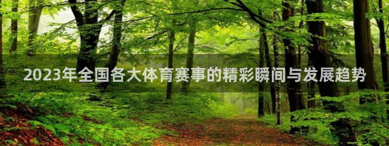 168全国开奖官网：2023年全国各大体育赛事的精彩瞬间与发展趋势