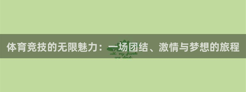 168全国开奖官网查询：体育竞技的无限魅力：一场团结、激情与梦想的旅程