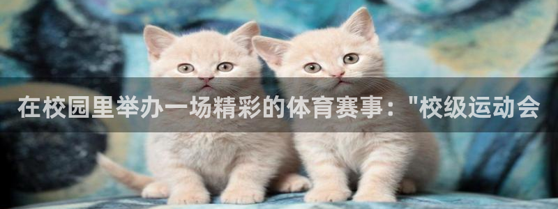 168全国开奖网地址：在校园里举办一场精彩的体育赛事：\