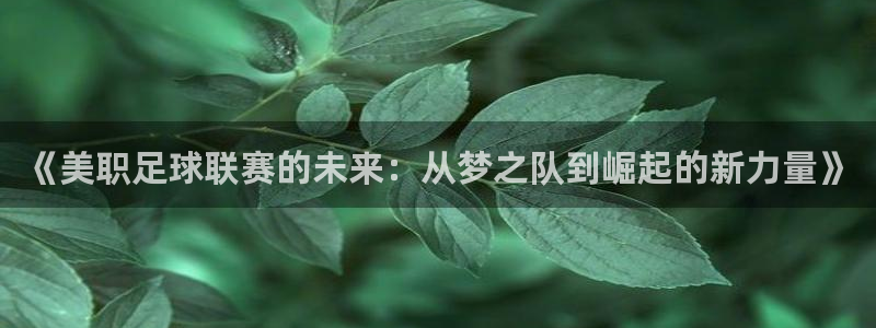 168全国统一开奖官网直播：《美职足球联赛的未来：从梦之队到崛起的新力量》