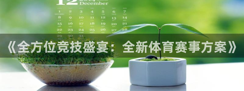168全国统一开奖记录：《全方位竞技盛宴：全新体育赛事方案》
