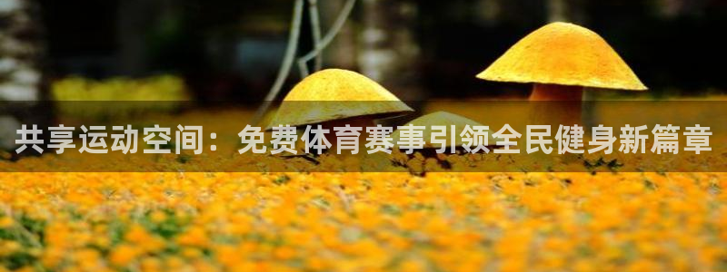 168全国统一开奖网下载：共享运动空间：免费体育赛事引领全民健身新篇章