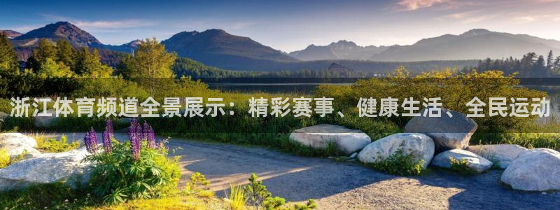 168全国统一开奖网查询：浙江体育频道全景展示：精彩赛事、健康生活、全民运动
