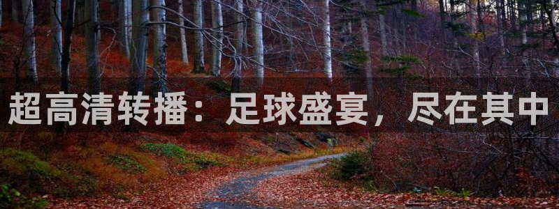168全国统一开奖网址下载：超高清转播：足球盛宴，尽在其中