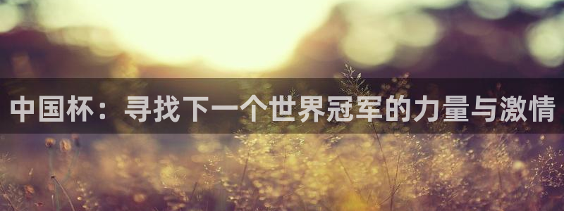 168全国开奖网链接：中国杯：寻找下一个世界冠军的力量与激情