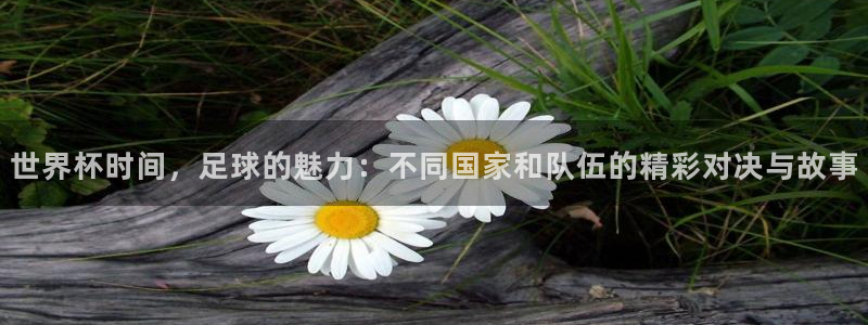 168全国统一开奖网址：世界杯时间，足球的魅力：不同国家和队伍的精彩对决与故事